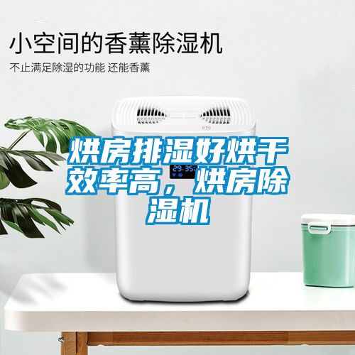 烘房排濕好烘干效率高,烘房除濕機(jī)