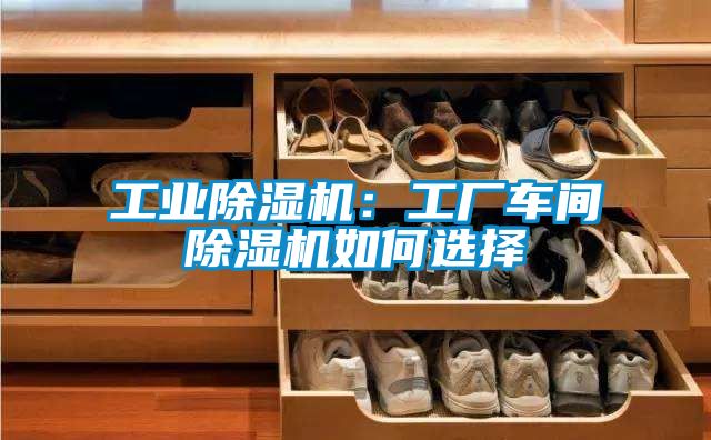 工業除濕機:工廠車間除濕機如何選擇