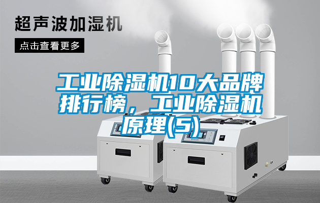 工業除濕機10大品牌排行榜，工業除濕機原理(5)