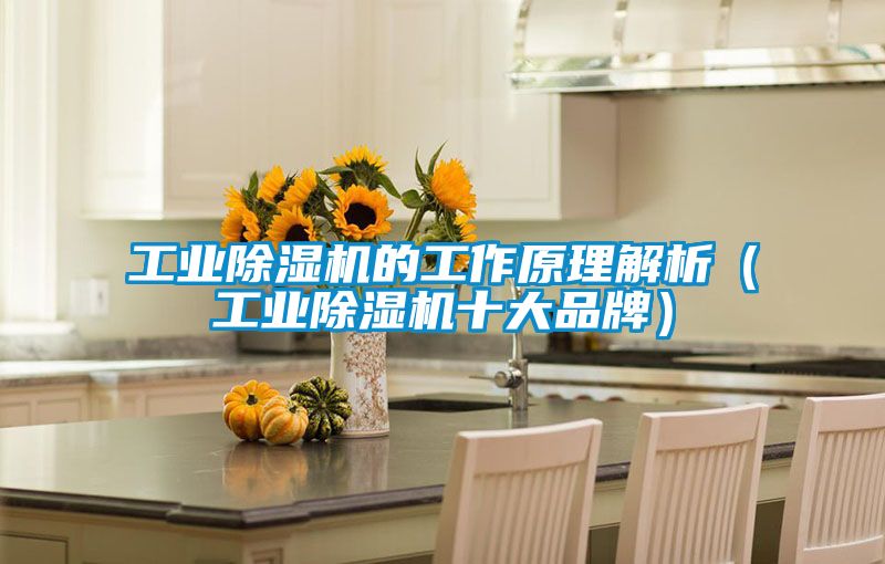 工業除濕機的工作原理解析(工業除濕機十大品牌)