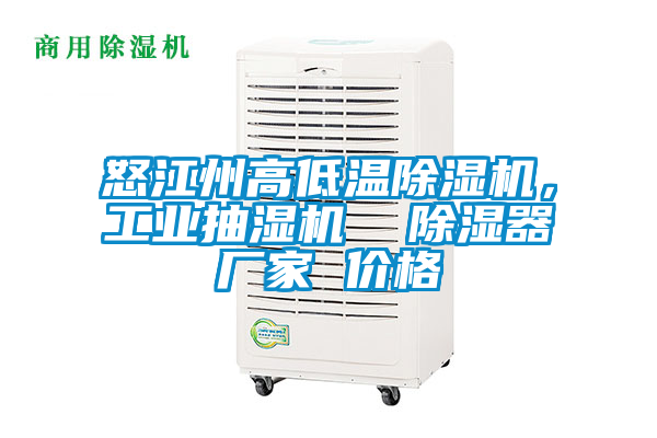 怒江州高低溫除濕機,工業抽濕機 除濕器廠家 價格