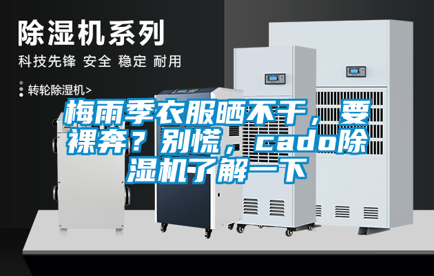 梅雨季衣服曬不干,要裸奔?別慌,cado除濕機了解一下