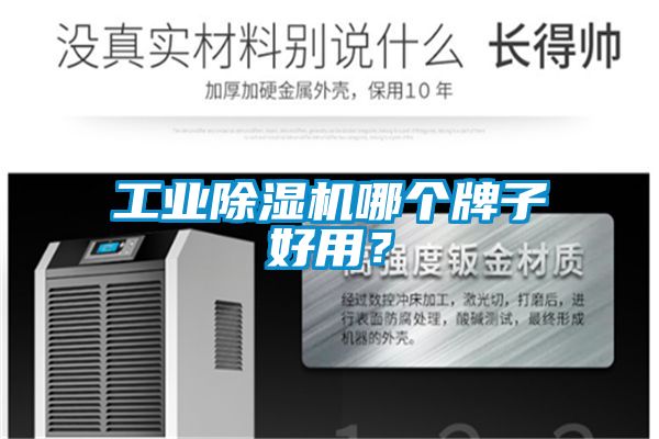 工業(yè)除濕機(jī)哪個(gè)牌子好用?