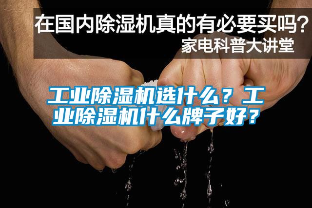 工業(yè)除濕機(jī)選什么?工業(yè)除濕機(jī)什么牌子好?