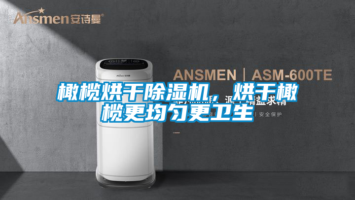 橄欖烘干除濕機,烘干橄欖更均勻更衛生