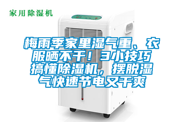 梅雨季家里濕氣重、衣服曬不干!3小技巧搞懂除濕機(jī),擺脫濕氣快速節(jié)電又干爽