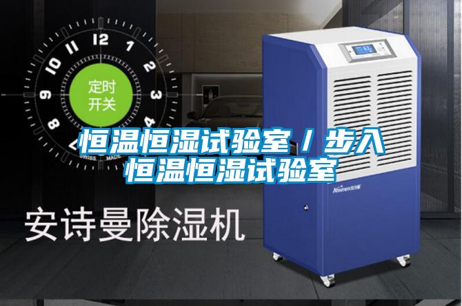 恒溫恒濕試驗室/步入恒溫恒濕試驗室