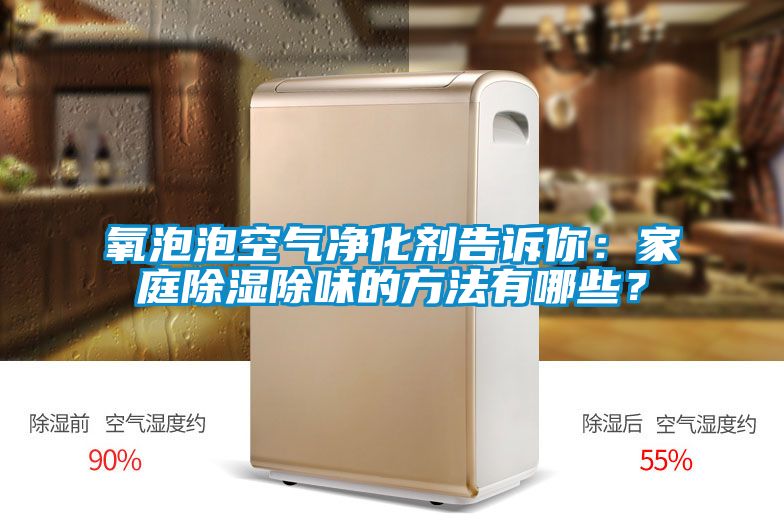 氧泡泡空氣凈化劑告訴你:家庭除濕除味的方法有哪些?