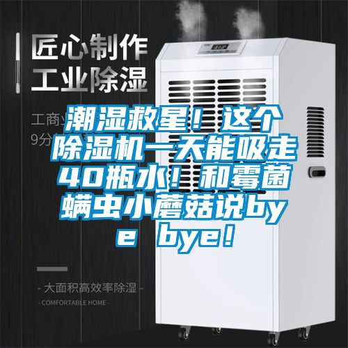 潮濕救星!這個(gè)除濕機(jī)一天能吸走40瓶水!和霉菌螨蟲(chóng)小蘑菇說(shuō)bye bye!