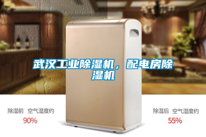 武漢工業(yè)除濕機,配電房除濕機