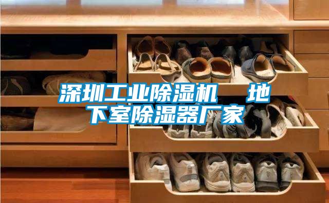 深圳工業(yè)除濕機(jī) 地下室除濕器廠家