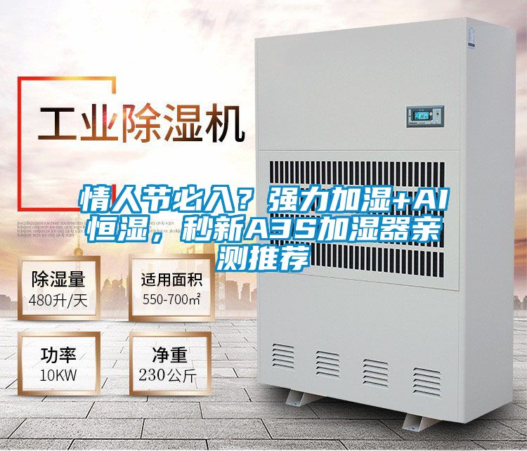 情人節必入?強力加濕+AI恒濕,秒新A3S加濕器親測推薦