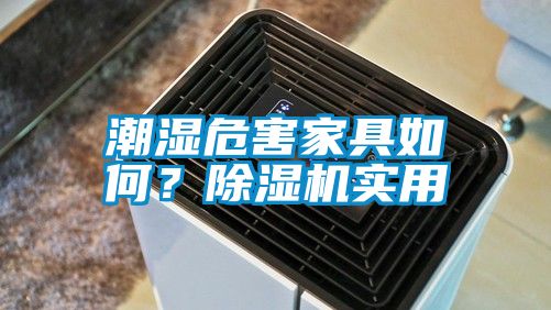 潮濕危害家具如何？除濕機實用