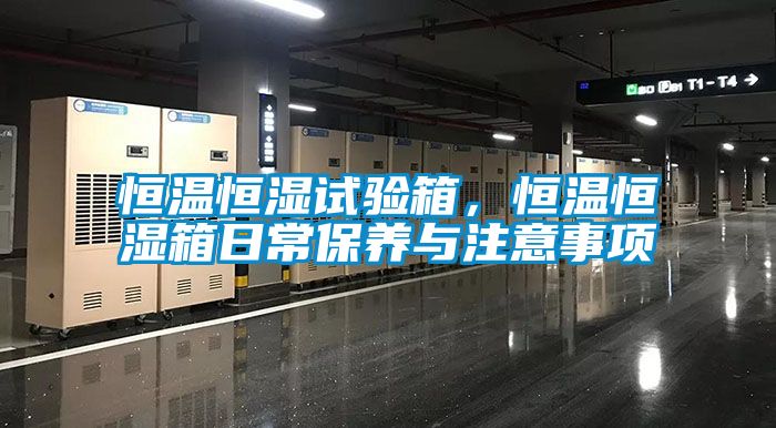 恒溫恒濕試驗(yàn)箱,恒溫恒濕箱日常保養(yǎng)與注意事項(xiàng)