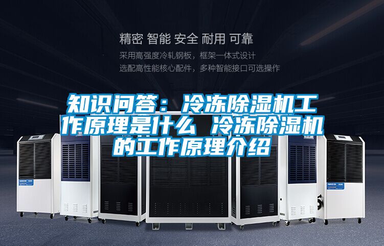 知識問答:冷凍除濕機(jī)工作原理是什么 冷凍除濕機(jī)的工作原理介紹