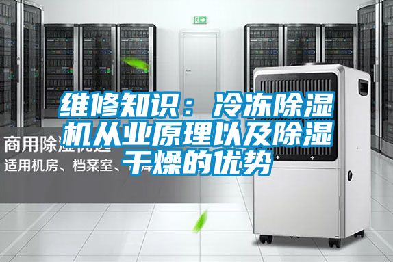 維修知識(shí):冷凍除濕機(jī)從業(yè)原理以及除濕干燥的優(yōu)勢(shì)