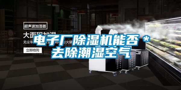 電子廠(chǎng)除濕機(jī)能否*去除潮濕空氣