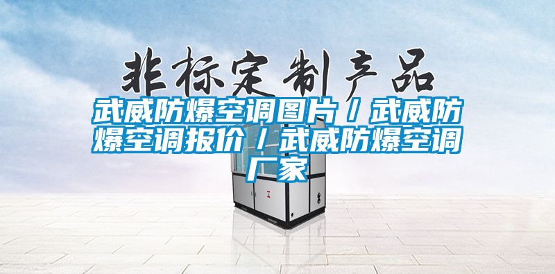 武威防爆空調圖片/武威防爆空調報價/武威防爆空調廠家