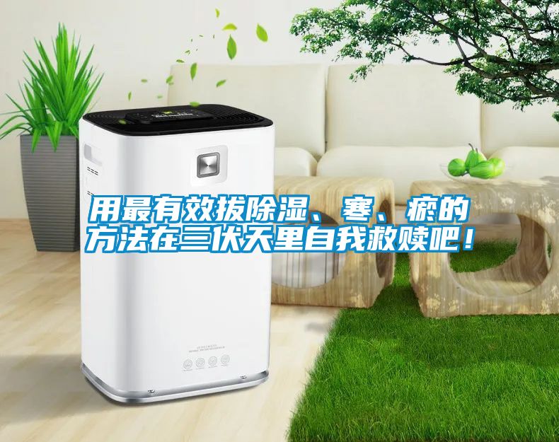 用最有效拔除濕、寒、瘀的方法在三伏天里自我救贖吧!