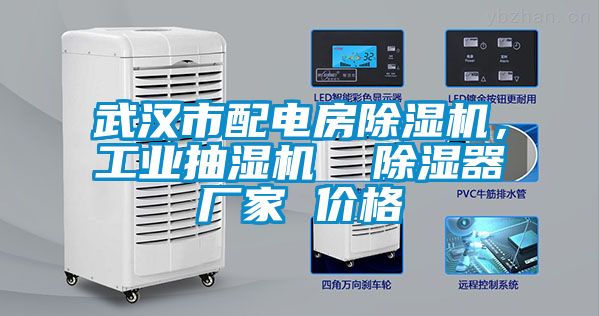 武漢市配電房除濕機,工業(yè)抽濕機 除濕器廠家 價格