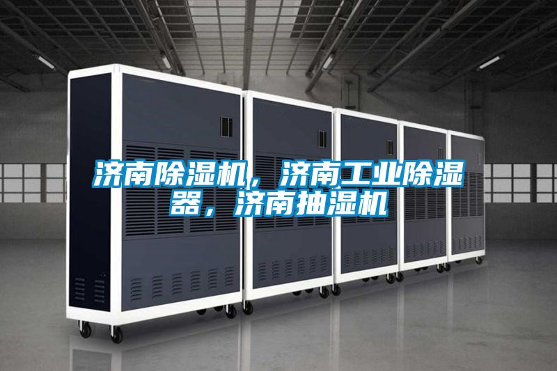 濟南除濕機，濟南工業除濕器，濟南抽濕機