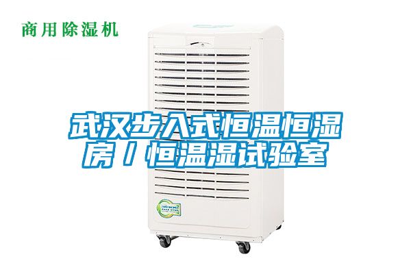 武漢步入式恒溫恒濕房/恒溫濕試驗室