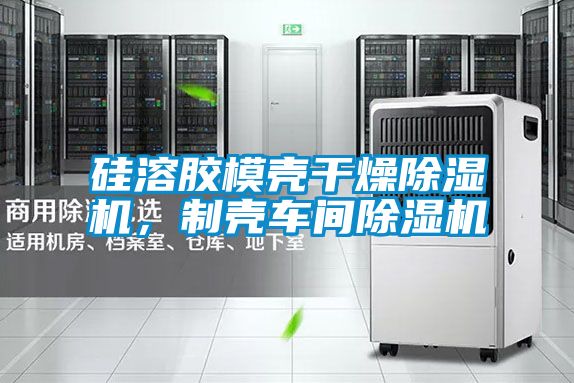 硅溶膠模殼干燥除濕機，制殼車間除濕機