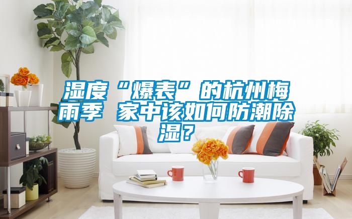 濕度“爆表”的杭州梅雨季 家中該如何防潮除濕？