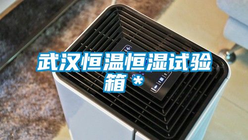 武漢恒溫恒濕試驗(yàn)箱*