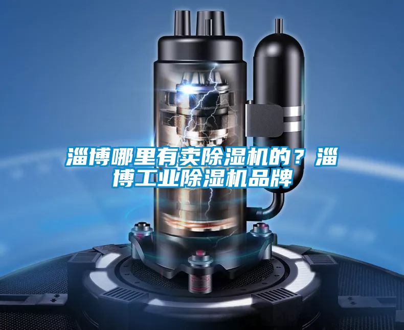 淄博哪里有賣除濕機的?淄博工業(yè)除濕機品牌