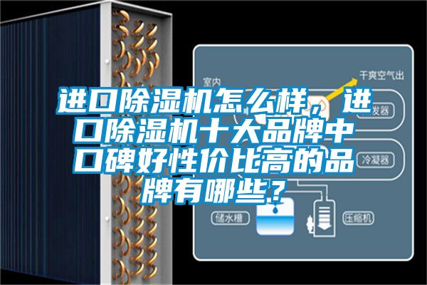 進(jìn)口除濕機(jī)怎么樣,進(jìn)口除濕機(jī)十大品牌中口碑好性價比高的品牌有哪些?