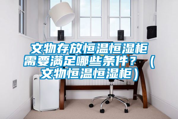 文物存放恒溫恒濕柜需要滿足哪些條件?(文物恒溫恒濕柜)