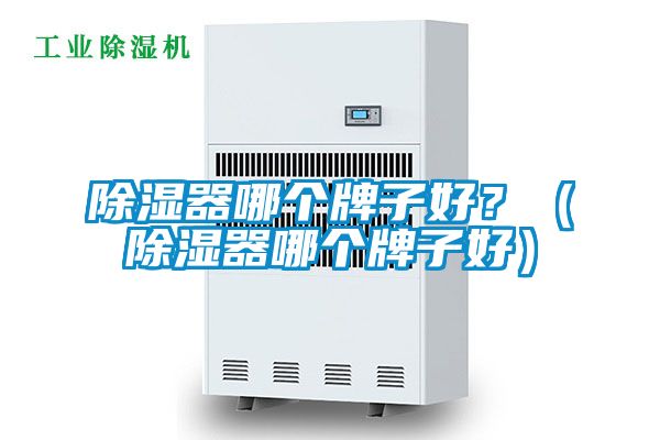 除濕器哪個牌子好?(除濕器哪個牌子好)