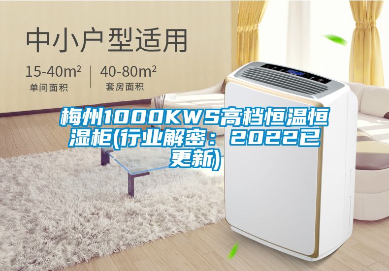 梅州1000KWS高檔恒溫恒濕柜(行業解密:2022已更新)