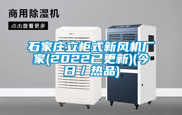 石家莊立柜式新風(fēng)機(jī)廠家(2022已更新)(今日/熱品)