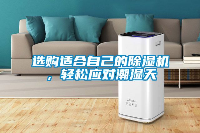 選購適合自己的除濕機,輕松應對潮濕天