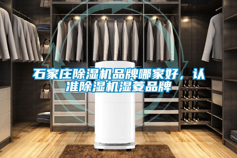 石家莊除濕機(jī)品牌哪家好,認(rèn)準(zhǔn)除濕機(jī)濕菱品牌