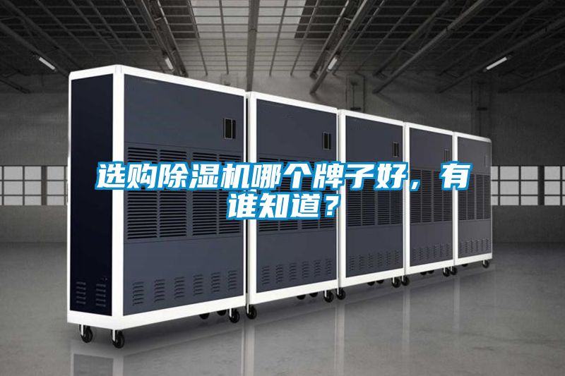 選購除濕機哪個牌子好,有誰知道?