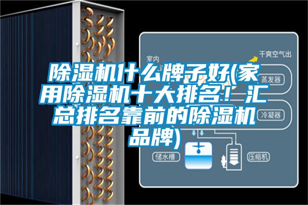 除濕機(jī)什么牌子好(家用除濕機(jī)十大排名!匯總排名靠前的除濕機(jī)品牌)
