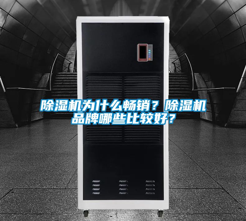 除濕機為什么暢銷?除濕機品牌哪些比較好?