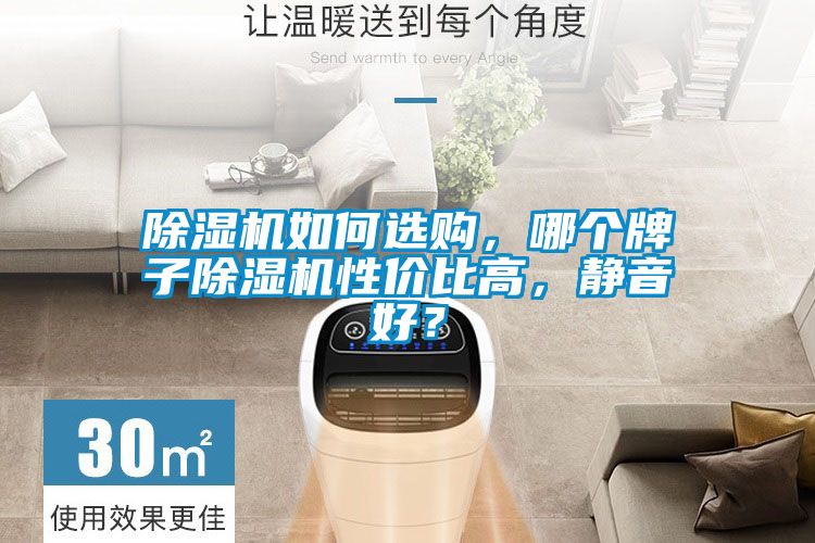 除濕機(jī)如何選購,哪個牌子除濕機(jī)性價比高,靜音好?