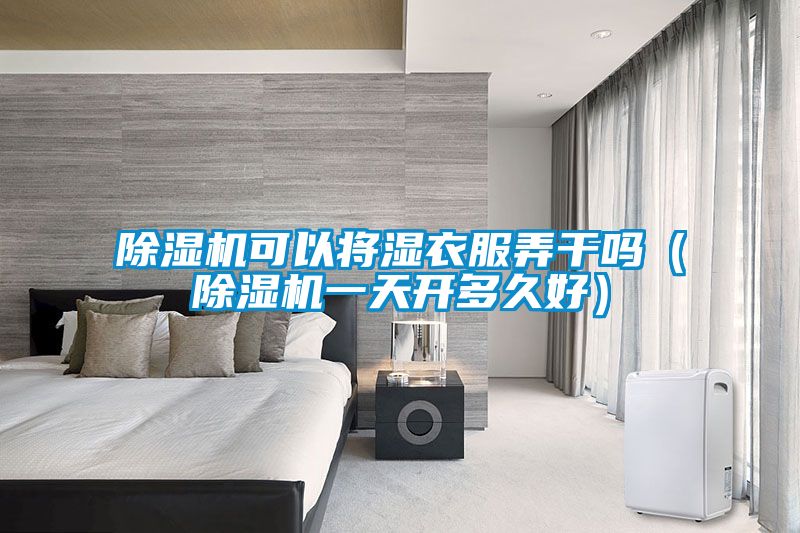 除濕機可以將濕衣服弄干嗎(除濕機一天開多久好)