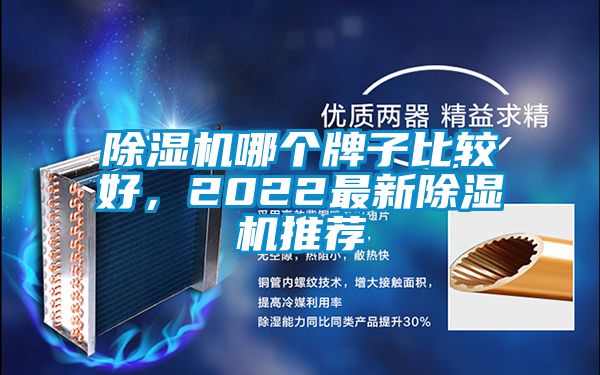 除濕機哪個牌子比較好,2022最新除濕機推薦