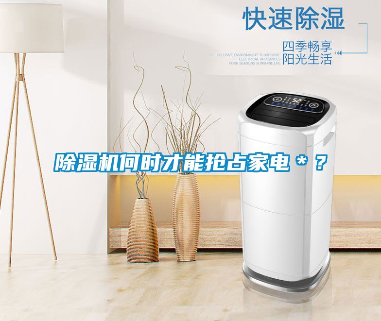 除濕機(jī)何時才能搶占家電*?