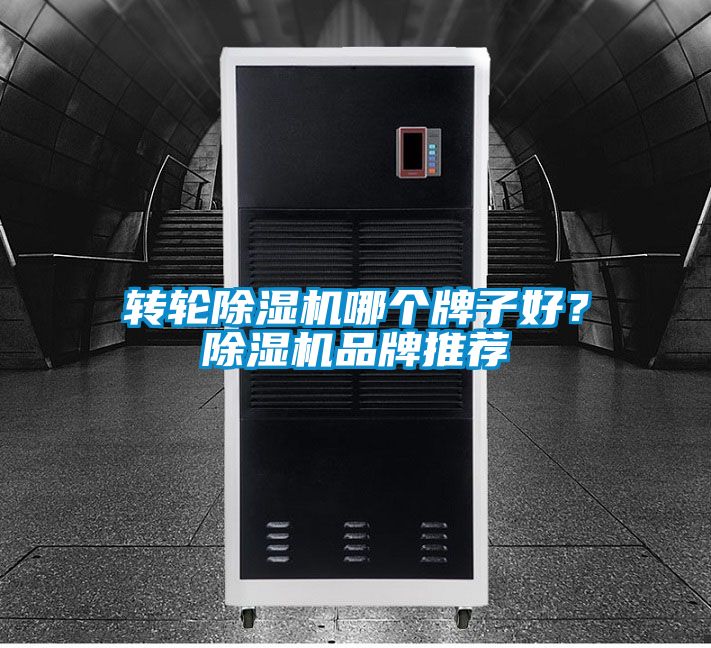 轉輪除濕機哪個牌子好?除濕機品牌推薦