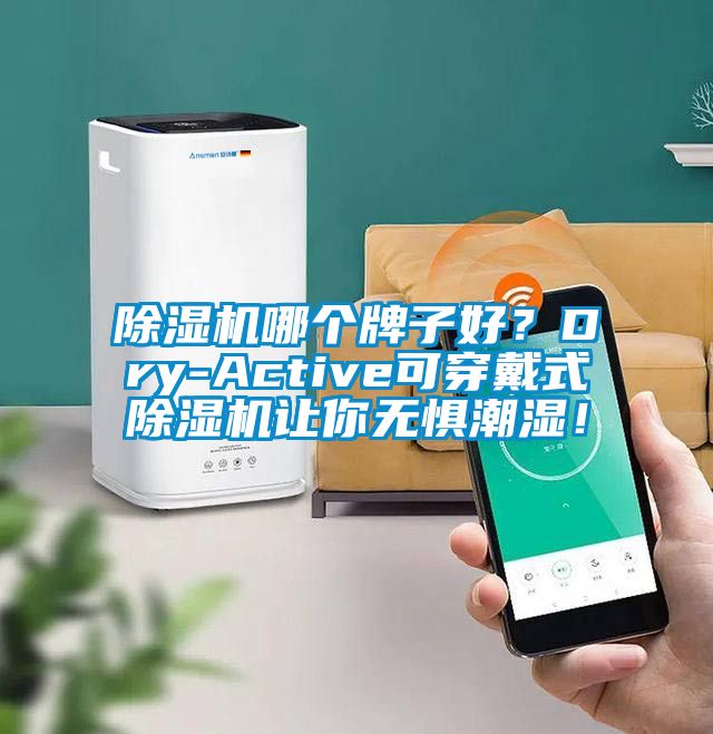 除濕機哪個牌子好？Dry-Active可穿戴式除濕機讓你無懼潮濕！