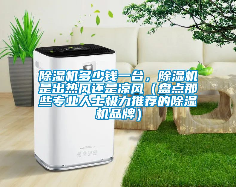 除濕機多少錢一臺,除濕機是出熱風還是涼風(盤點那些專業人士極力推薦的除濕機品牌)