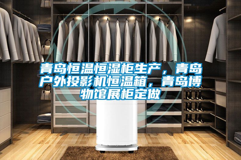 青島恒溫恒濕柜生產(chǎn)，青島戶外投影機(jī)恒溫箱，青島博物館展柜定做