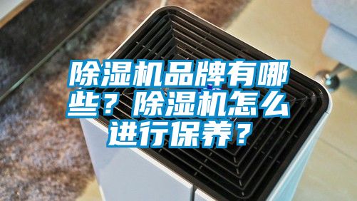 除濕機品牌有哪些？除濕機怎么進行保養？