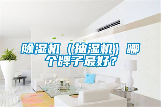 除濕機(抽濕機)哪個牌子最好?